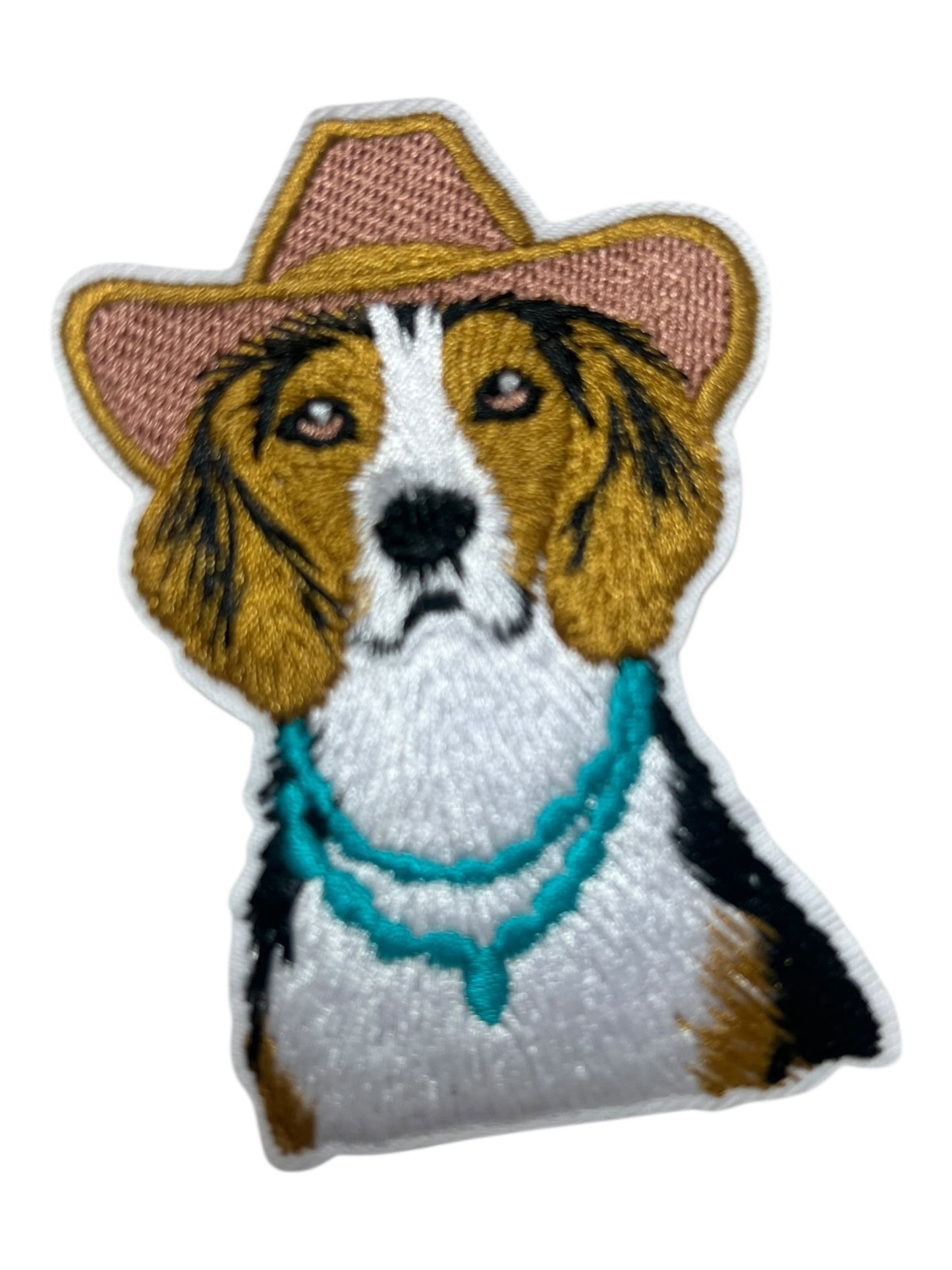 Beagle with cowboy hat and turquoise