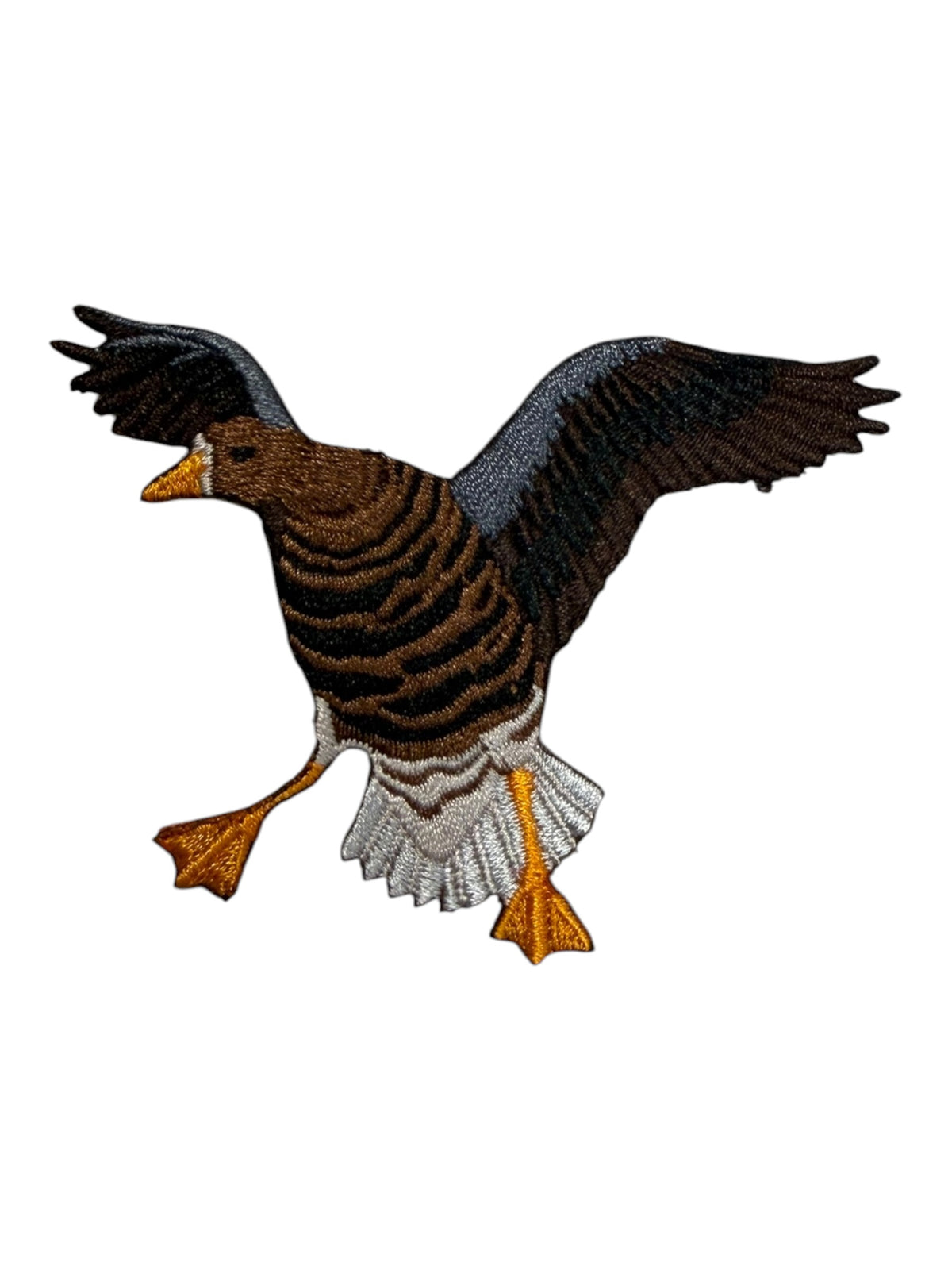 Brown duck landing