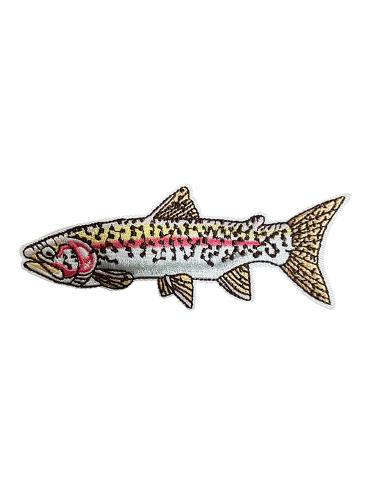 Yellow grey speckle  pink stripe fish