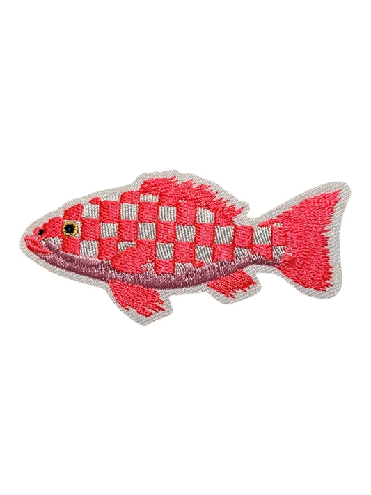Neon checkered fish