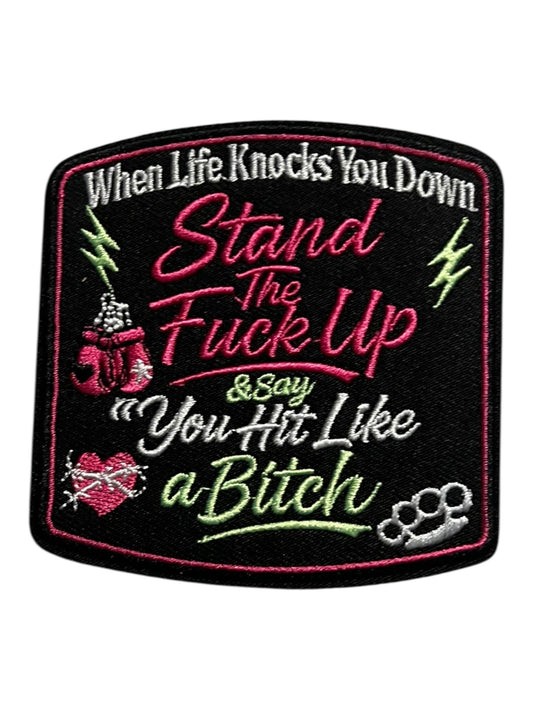 When life knocks you down stand  the fuck up and say you hit like a bitch