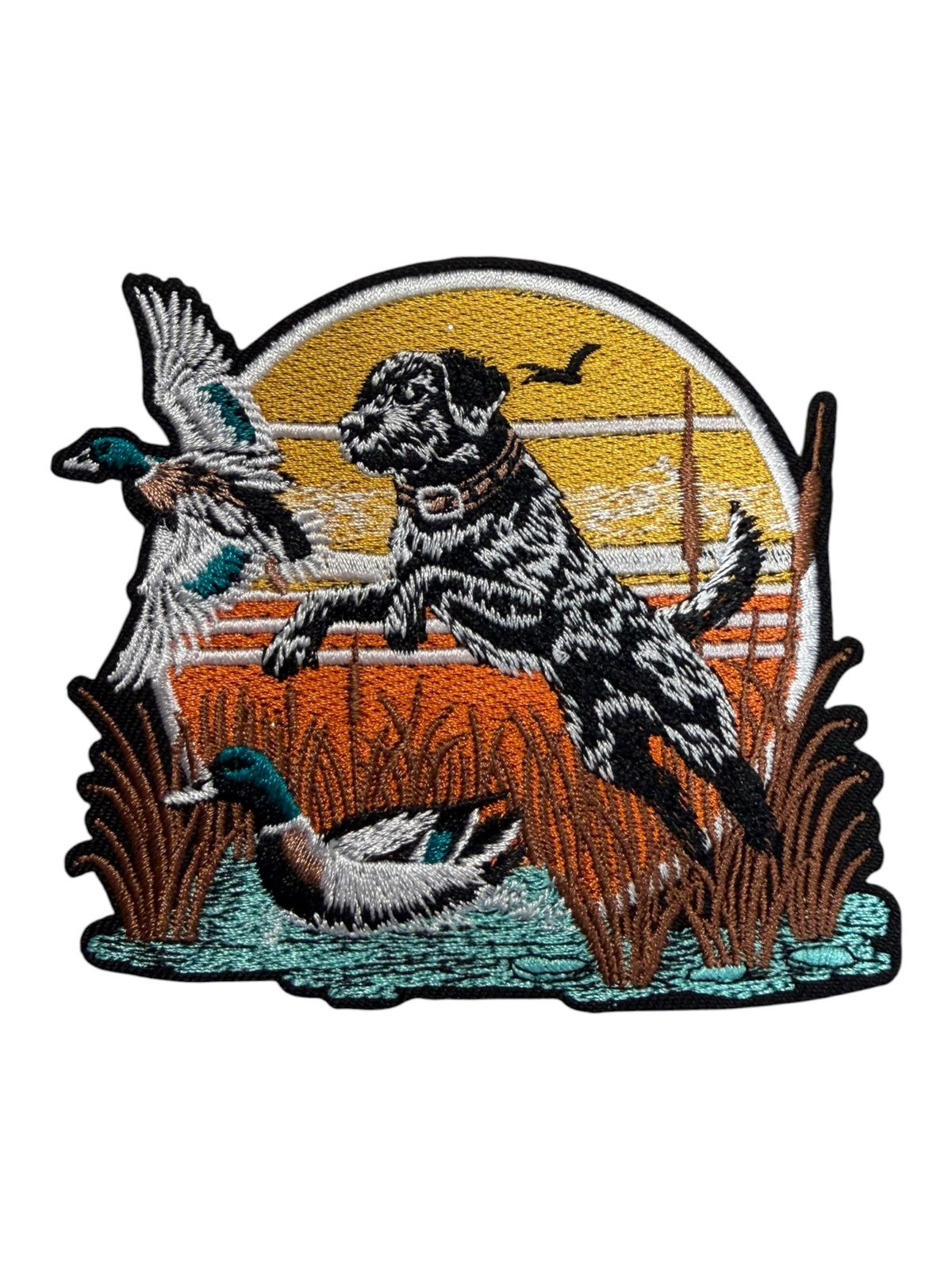 Duck dog in a field