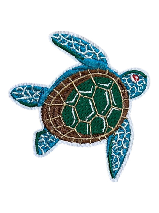 Sea turtle