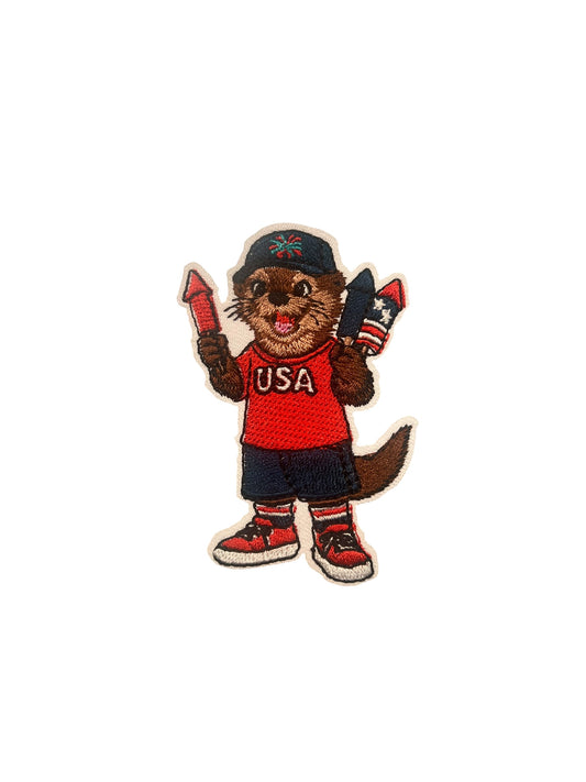 USA beaver with fireworks