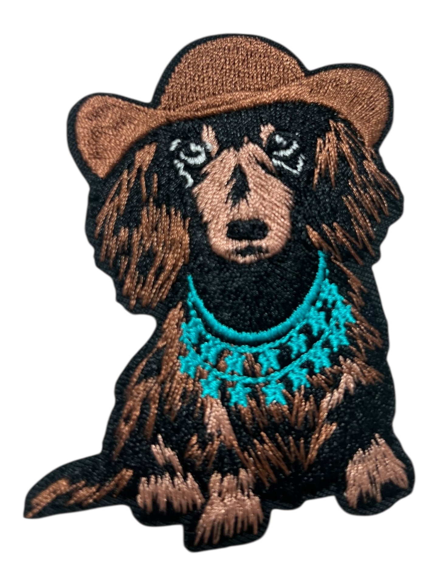 Dachshund (long-haired) with cowboy hat and turquoise