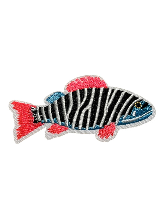Neon striped fish