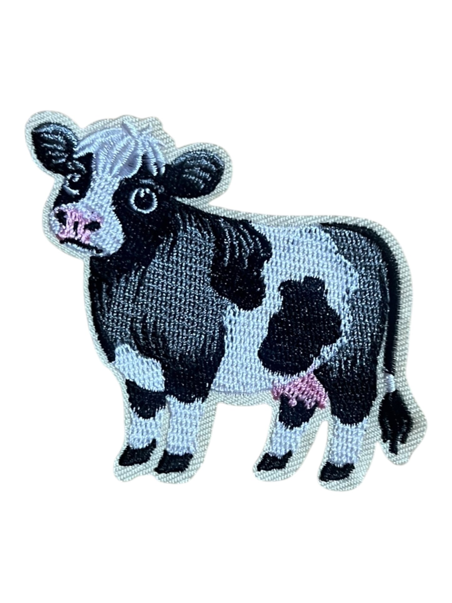 Black and white cow
