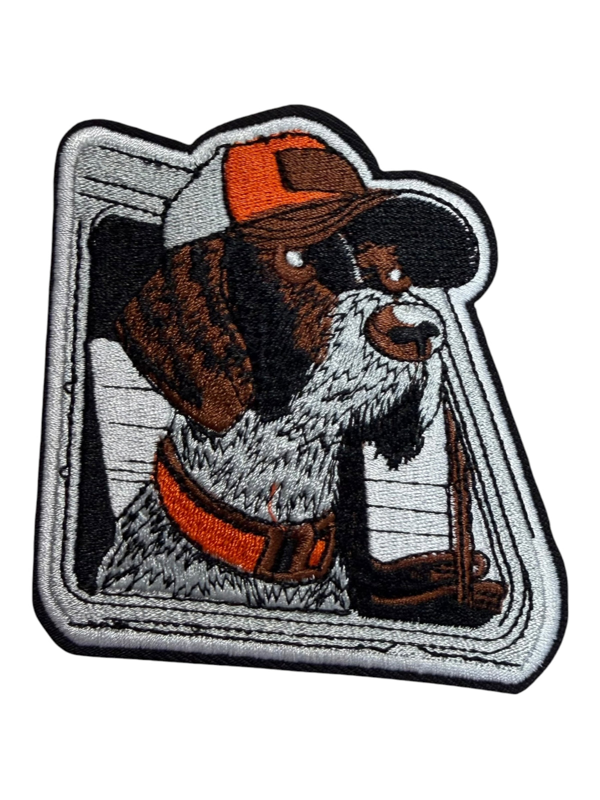 Dog  with orange hat and collar