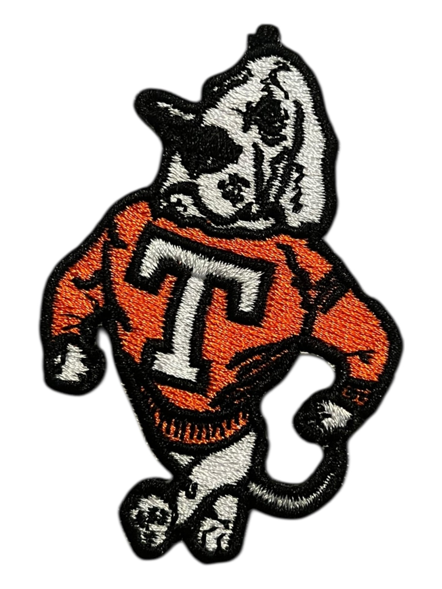 University of Tennessee Smokey